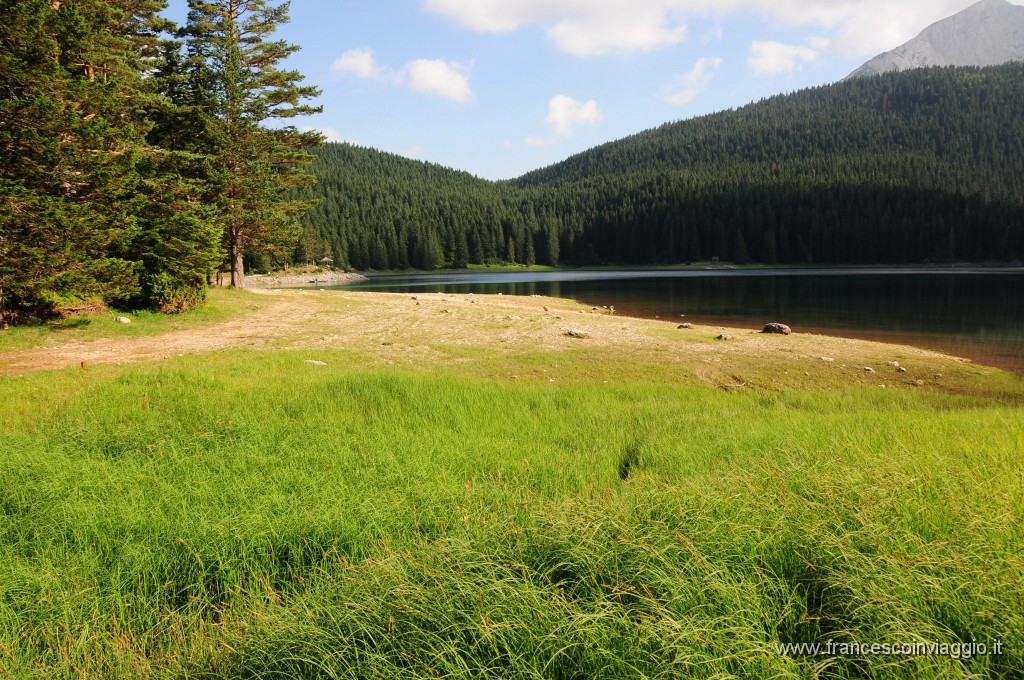 Parco Nazionale del Durmitor - Lago Nero - Zabljak400DSC_3205.JPG